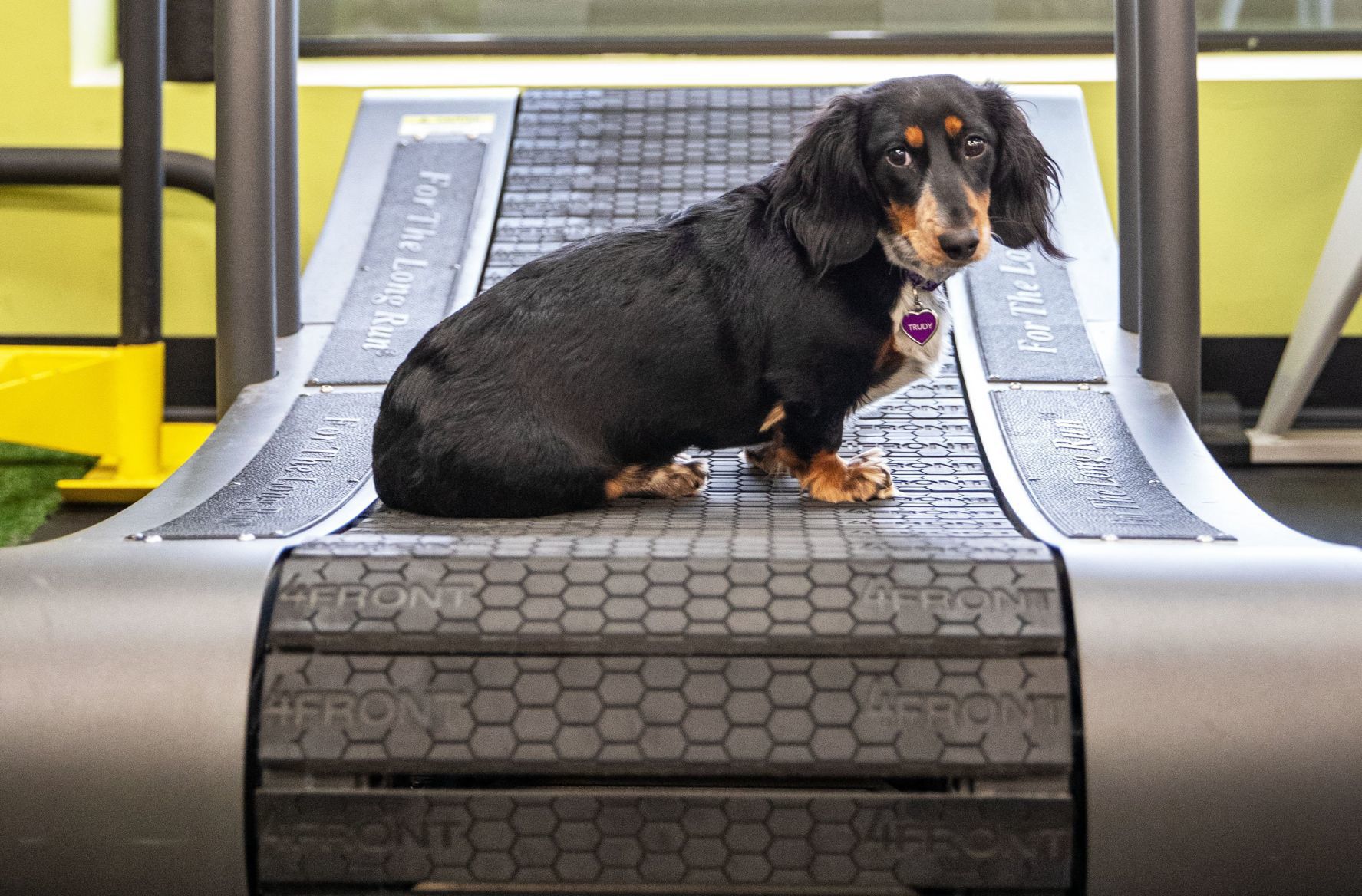 Treads and Tails